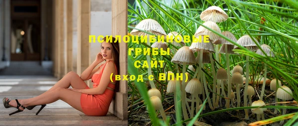 синтетический гашиш Вяземский