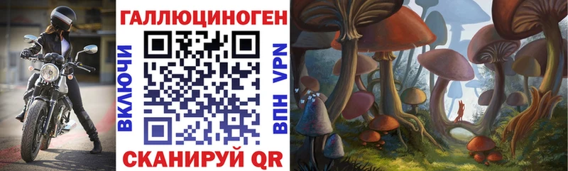 Купить закладки  Коммунар  Галлюциногенные грибы мицелий 